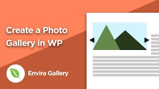 Celebrity How to Create a Gallery in WordPress Profile