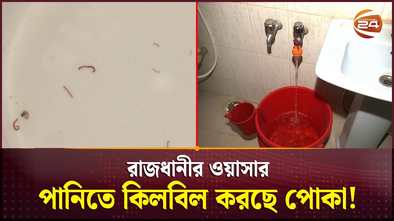 রাজধানীর গোসল আর রান্না-বান্নার পানিতে কিলবিল করছে পোকা | Water Crisis | Dhaka WASA | Channel 24