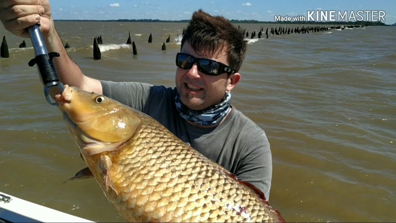Pesca De Bogas Y Carpas En El Ro Pesca En Kayak Ro De La Pesca De Bogas Y Carpas En El Ro Pesca En Kayak Ro De La