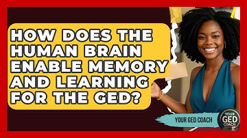 How Does The Human Brain Enable Memory And Learning For The GED? - Your GED Coach