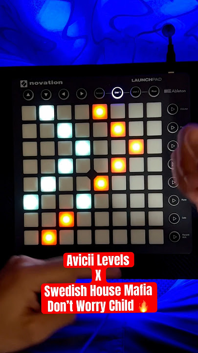 Avicii Levels x Swedish House Mafia mashup live #avicii #levels #music #mashup #edm #live #music