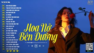 Hoa Nở Bên Đường, Cô Phòng... - Mây lấp đi cả vùng trời chói nắng | Tôi Với Cô Đơn