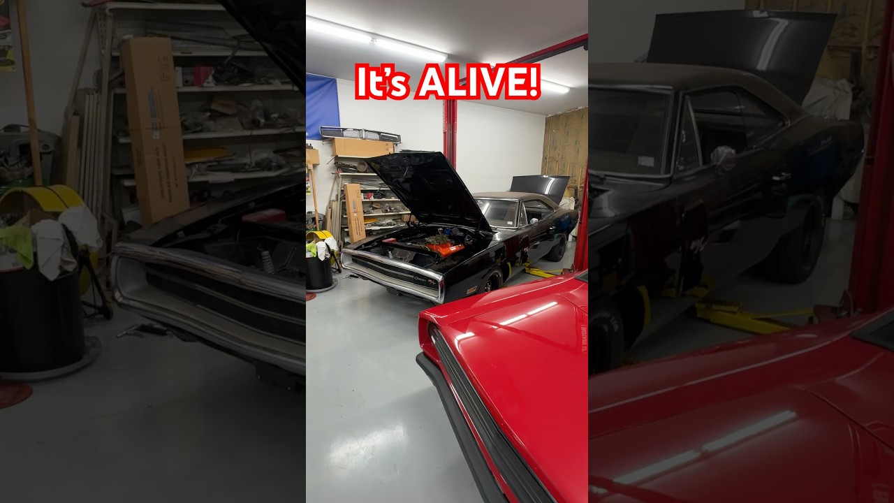 1970 Dodge Charger R/T 440 6 pack barrel 4 speed Dana 60 Mopar muscle car 70 1969 Cuda barracuda RT