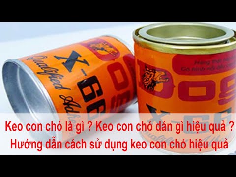 Video: Keo Con Chim Là Gì