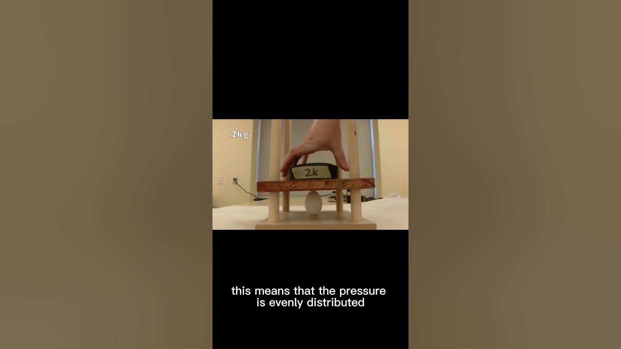 Can you break an egg if you squeeze it vertically? YouTube