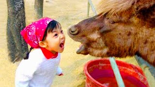 Funniest Baby And Animal Compilation Video #4 by Lovers Baby 1,754 views 1 year ago 1 minute, 18 seconds