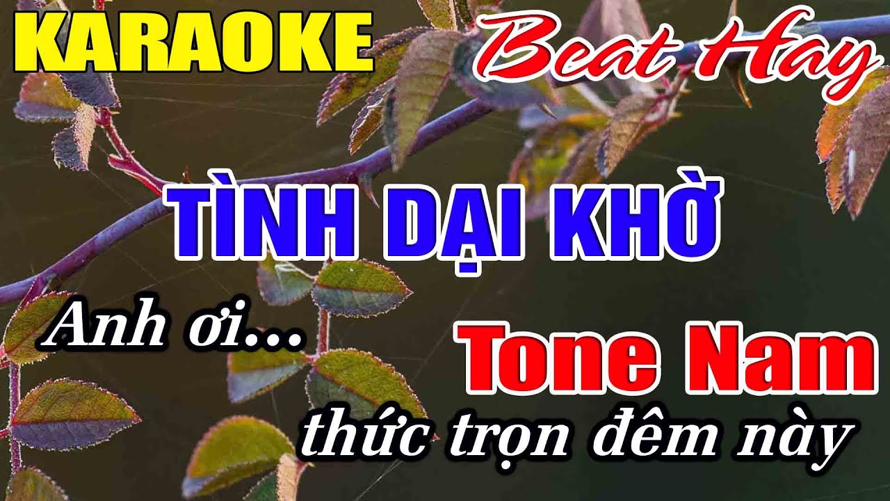 Tình Dại Khờ Karaoke Tone Nam Karaoke Hải Nhạc Sống 2026 - Beat Mới