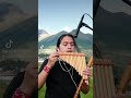 Volver coversong instrumental volver tornero eltrenquenossepara quenacho panflute