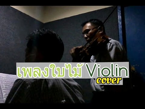 เพลงใบไม้ Ost.เลือดมังกร ตอน หงส์ violin cover