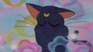 Momentos Divertidos Sailor Moon Luna  Romantica