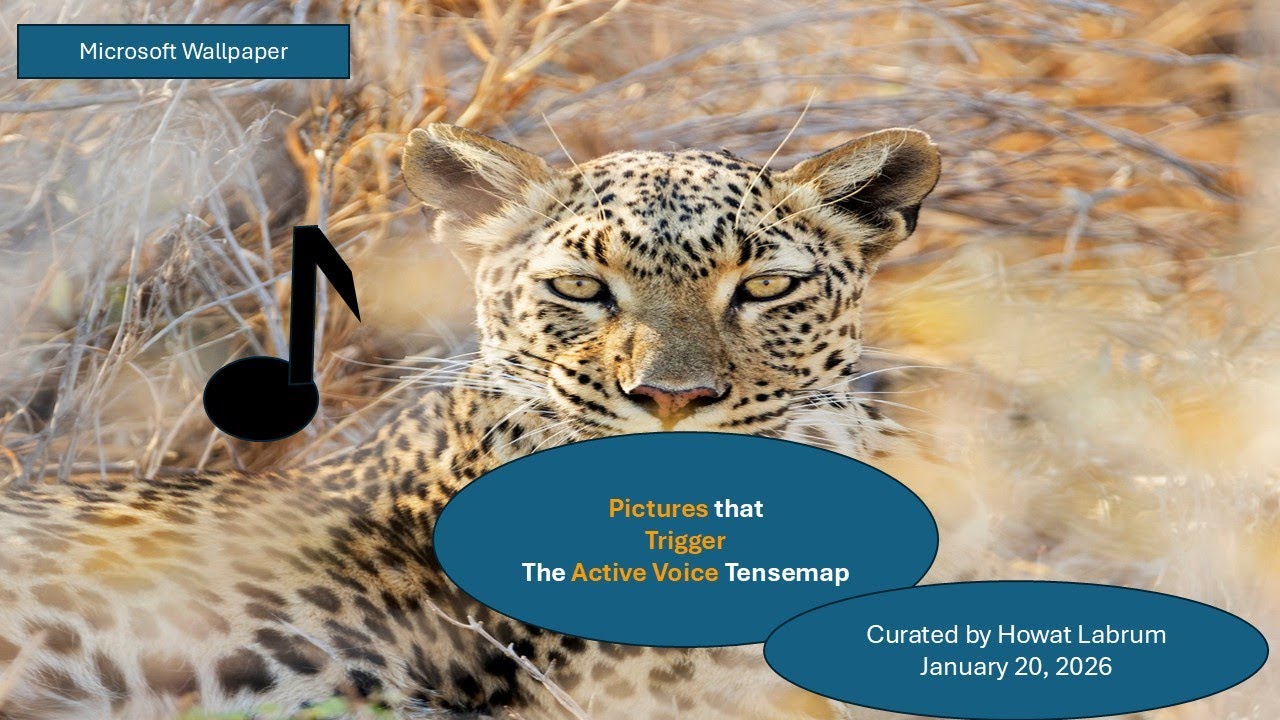 U Visuals that Trigger the Active Voice Tenses 2026January20