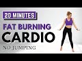 🔥20 Min FAT BURNING CARDIO for WEIGHT LOSS🔥KNEE FRIENDLY🔥NO SQUATS/LUNGES🔥NO JUMPING🔥NO REPEATS🔥