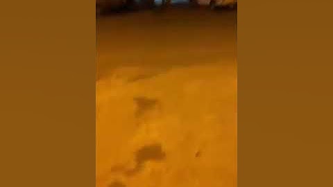 تلاوة رائعة للشيخ صالح الشمراني رحمه الله