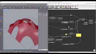 Shell Structure form finding using Kangaroo