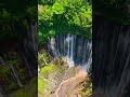 Ultra Realistic Dolby Vision HDR #8khdr #naturevideo #naturelovers #shortvideo #shorts #short