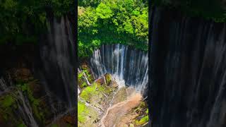 Ultra Realistic Dolby Vision HDR #8khdr #naturevideo #naturelovers #shortvideo #shorts #short