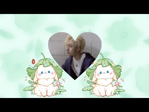 ๑•̀ᴗ•̀)  ̫BANGCHAN COMBO