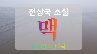 맥 | 전상국 소설