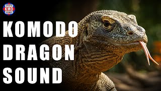 KOMODO DRAGON SOUND - ANIMAL SOUNDS - Sound Effects
