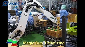 Cardboard Box Vacuum Transfer/ Robot Palletizing with Magic Suction Cup [VMECA]