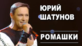Юрий Шатунов - Ромашки /Official Video
