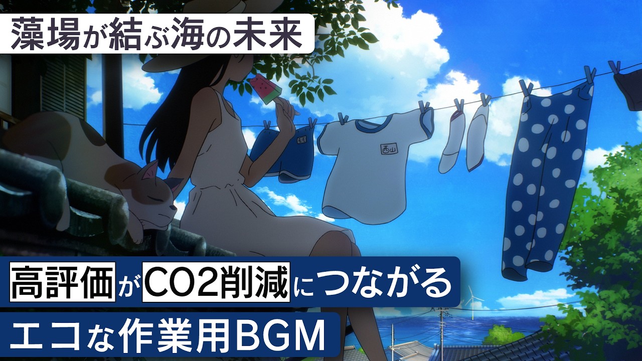 作業用BGM - 五島市 | 藻場が結ぶ海の未来【睡眠/勉強/集中】