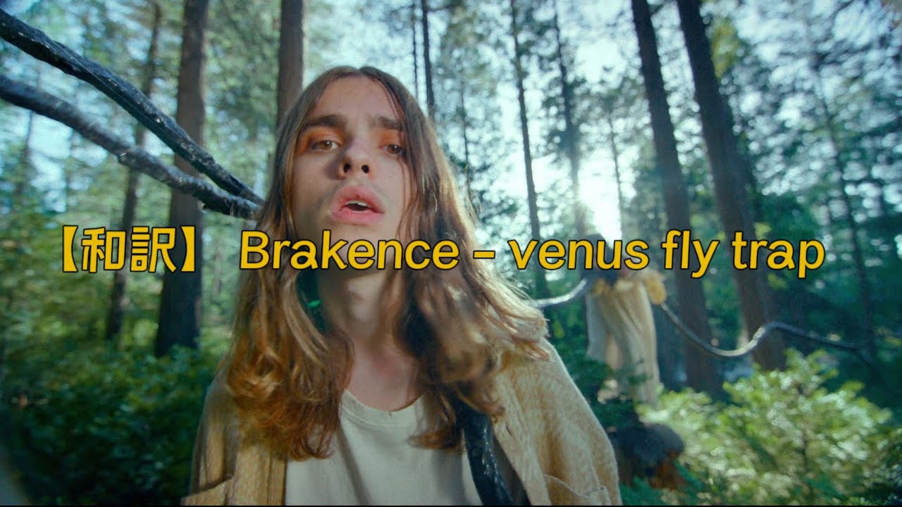 Venus Fly Trap Lyrics Brakence