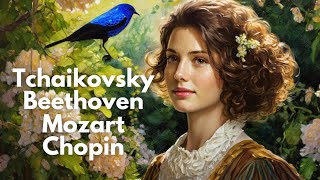 10 Brilliant Composers: Classical Music Mix | Tchaikovsky, Beethoven, Mozart, Chopin, Bach, Corelli