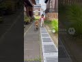 油断したらだめwwww #ai #犬 #shorts
