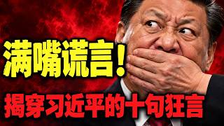 【枫说】满嘴假话！盘点习近平的十句谎言