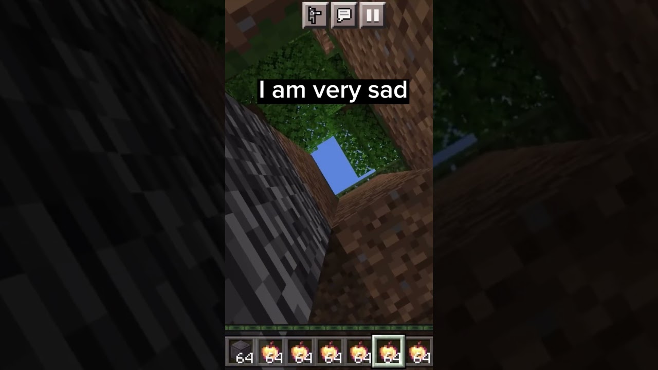 YouTubers that lost there 801 trillion year old Minecraft world 