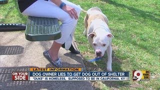 Dog owner lies to get out of shelter