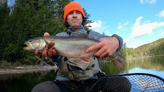 How to catch bigger splake in the fall using spoons and blade baits