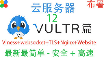 12 布署安全的Vmess+websocket+TLS+Nginx+Website免费节点服务器,最详细最简单