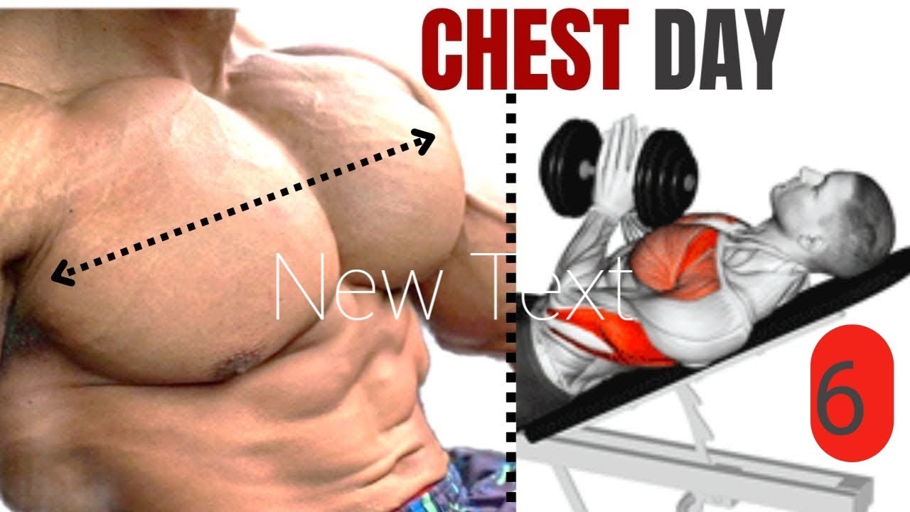 chest workout day (muscle build exercise) YouTube