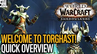 Torghast Explained - How It Works + Gameplay - Shadowlands Alpha