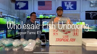 Wholesale Fish Unboxing!!! Segrest Farms Unboxing #3