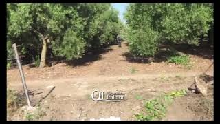 Alto A Portavalori Ecco Da Dove È Scappata La Banda