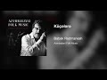 Babak Radmanesh Küçələrə Azerbaijani Folk Music 