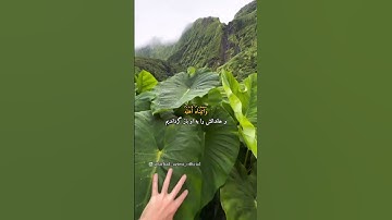 ترجمه آیات ۸۳ الی ۸۴ سوره انبیاء / #الله #قرآن #سورة #اسلام #خدا #@farhad_azimi_official