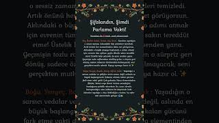 ÇOK ŞAŞIRACAĞINIZ O MÜJDE GELİYOR! 🔮 | Burçlara Göre Kolektif Kehanetler  #tarot #burçlar #astroloji