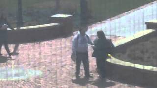 Easter Egg Stakeout