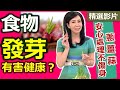 【健康好生活 超精彩回顧】食材「發芽」到底能不能吃？今天一次說清楚講明白！ /// 健康版黑糖發芽米糕  自製發芽糙米  春芽炒雞丁  奶醬地瓜海鮮  紅蘿蔔羊肉咖哩