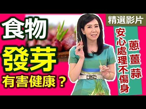 桃園泰式料理吃到飽｜超過40道現點現炒料理、自助吧無限量供應！平日午餐吃最划算！