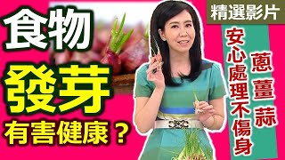 【健康好生活 超精彩回顧】食材「發芽」到底能不能吃？今天一次說清楚講明白！ /// 健康版黑糖發芽米糕  自製發芽糙米  春芽炒雞丁  奶醬地瓜海鮮  紅蘿蔔羊肉咖哩