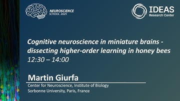 Cognitive neuroscience in miniature brains - dissecting higher-order learning in honey bees