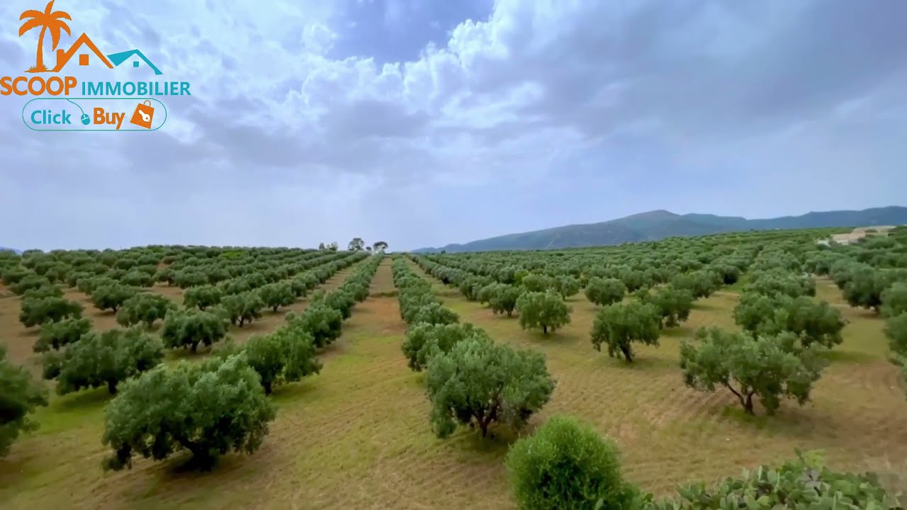 Ferme agricole à Hammamet à Hattous