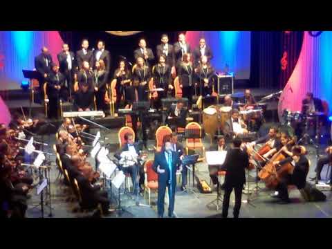 علي الحجار Ali Elhaggar عدي النهار