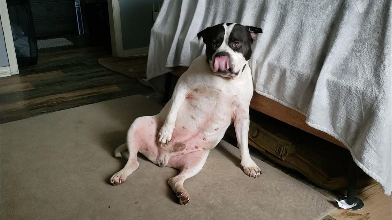 Red Rocket, Red Rocket. YouTube