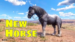 RDR2 Horse Showcase | Stunning Custom Horse Mod in Red Dead Redemption 2